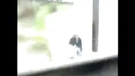 Gadis itu, tidak sya ...