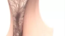 Pria kesepian pelinc ...