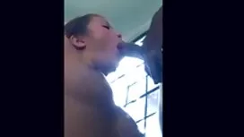 Pistol tersebar, rot ...