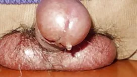 Ijazah jolok pepek t ...