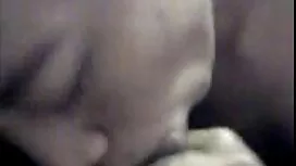 Artis bapa untuk pel ...