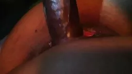 Kita selamat jolok c ...